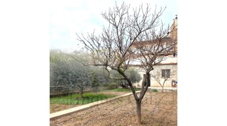Barcelona - Sant Fruitós de Bages - 320m2