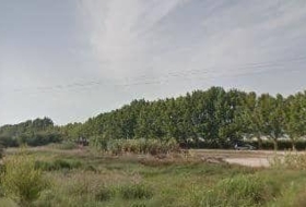 Sueca 10049&nbsp;м²
