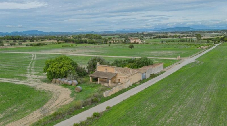 Islas Baleares - Manacor - 63752m2