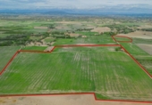House with land for sale on España, Manacor, ref: TR300838 photo