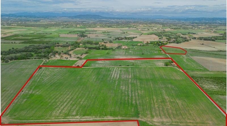 Islas Baleares - Manacor - 63752m2