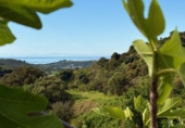 Chalet independiente con terreno en venta en la España, Estepona, ref: TR404248 foto