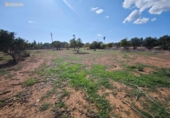 Suelo urbano en venta en la España, Palma, ref: TR353661 foto