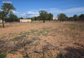 Suelo urbano en venta en la España, Palma, ref: TR353661 foto