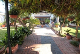 Foto 13