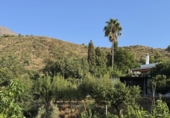 Casa de campo con terreno en venta en la España, Estepona, ref: TR346369 foto