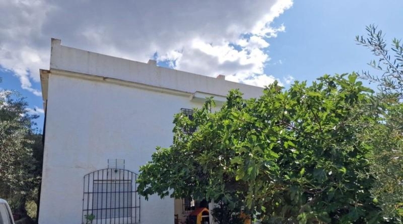 Málaga - Tolox - 1849m2