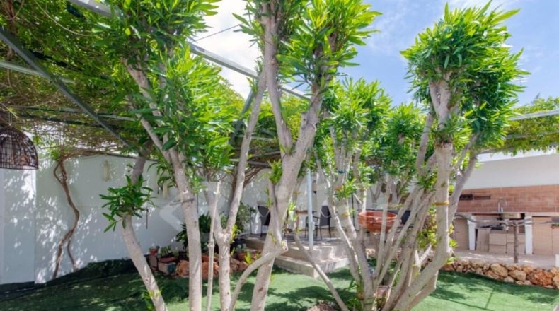 Islas Baleares - Alaior - 450m2