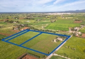 Terreno no urbanizable en venta en la España, Campos, ref: TR241431 foto