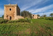 Terreno no urbanizable en venta en la España, Campos, ref: TR241431 foto