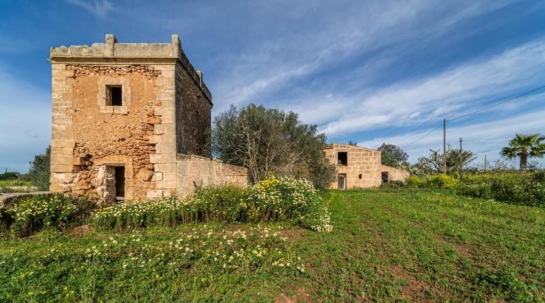 Balearic Islands - Campos - 21470m2