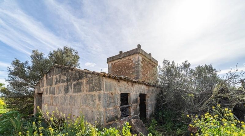Balearic Islands - Campos - 21470m2