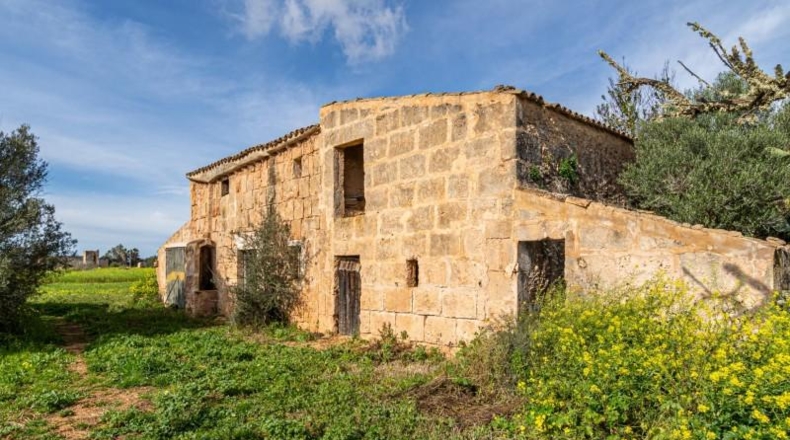 Balearic Islands - Campos - 21470m2