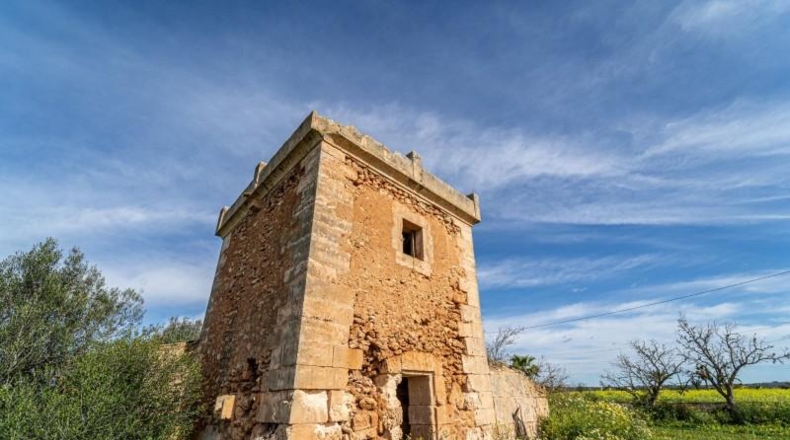 Balearic Islands - Campos - 21470m2