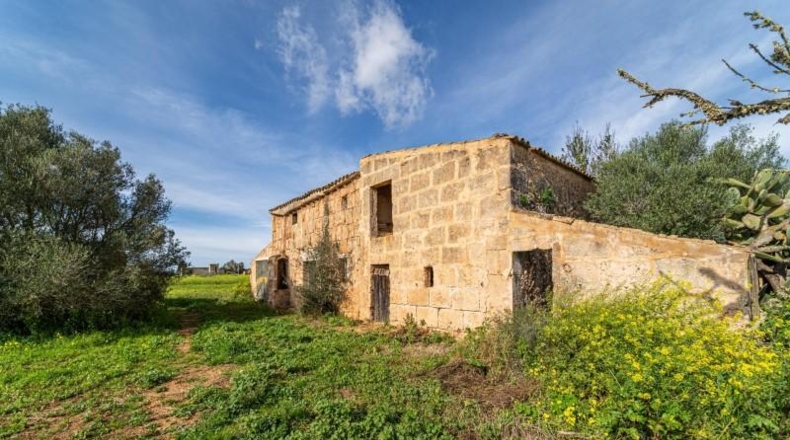 Balearic Islands - Campos - 21470m2