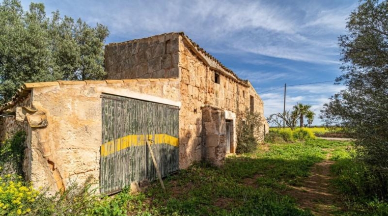 Balearic Islands - Campos - 21470m2
