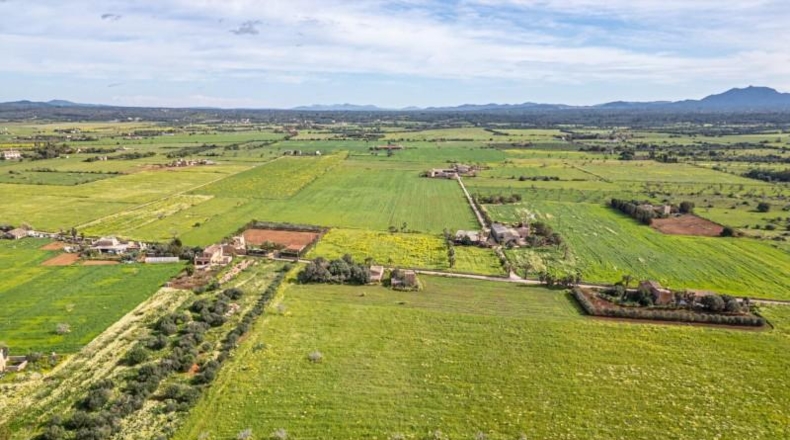 Balearic Islands - Campos - 21470m2