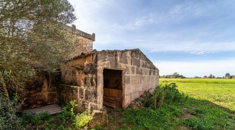 Balearic Islands - Campos - 21470m2