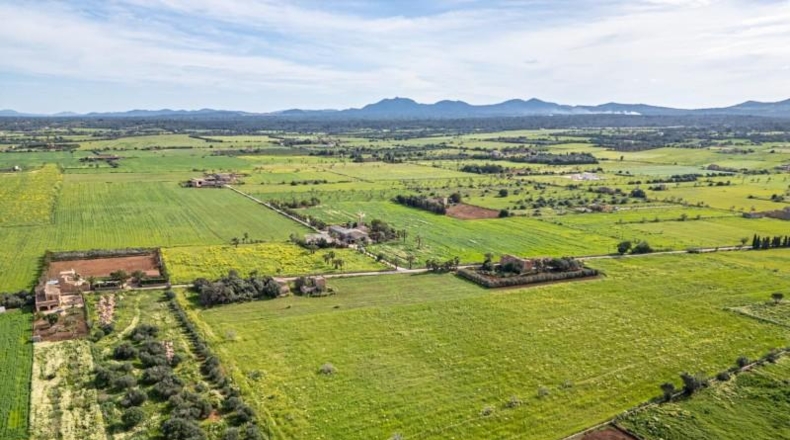 Balearic Islands - Campos - 21470m2