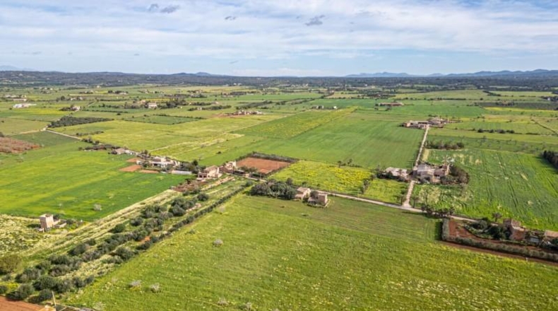 Balearic Islands - Campos - 21470m2