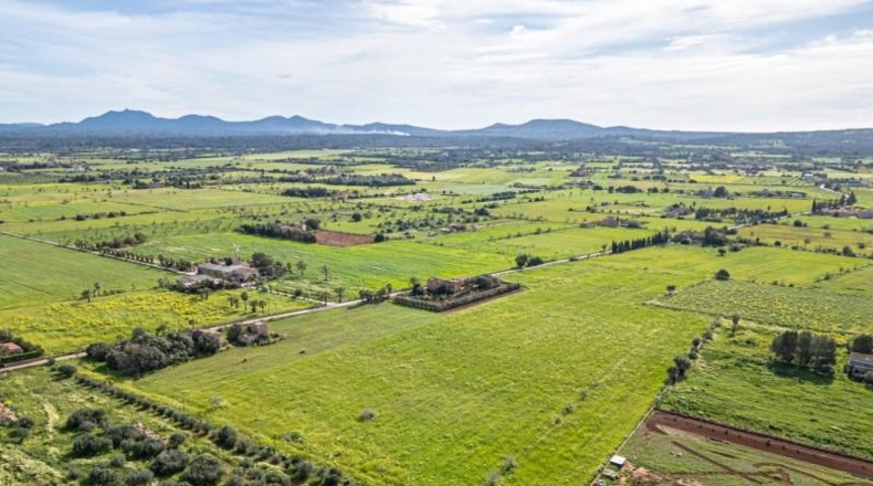 Balearic Islands - Campos - 21470m2