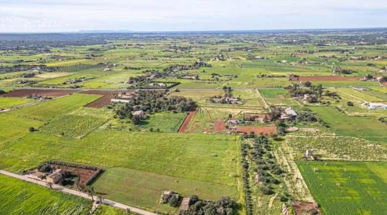 Balearic Islands - Campos - 21470m2