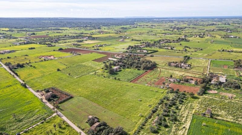 Balearic Islands - Campos - 21470m2
