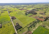 Terreno no urbanizable en venta en la España, Campos, ref: TR241431 foto