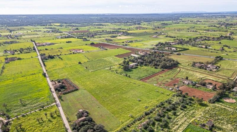 Balearic Islands - Campos - 21470m2