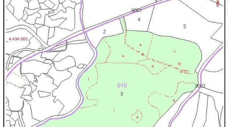 Cáceres - Tejeda de Tiétar - 263000m2