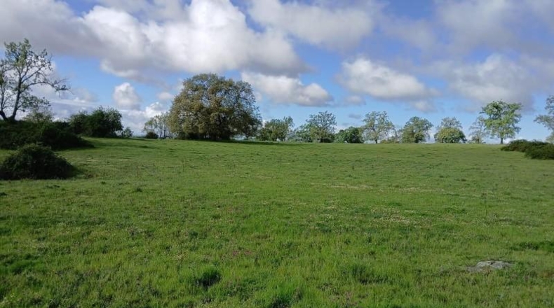 Cáceres - Tejeda de Tiétar - 263000m2