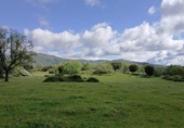 Terreny no urbanitzable en venda a la España, Tejeda de Tiétar, ref.: TR313171 foto