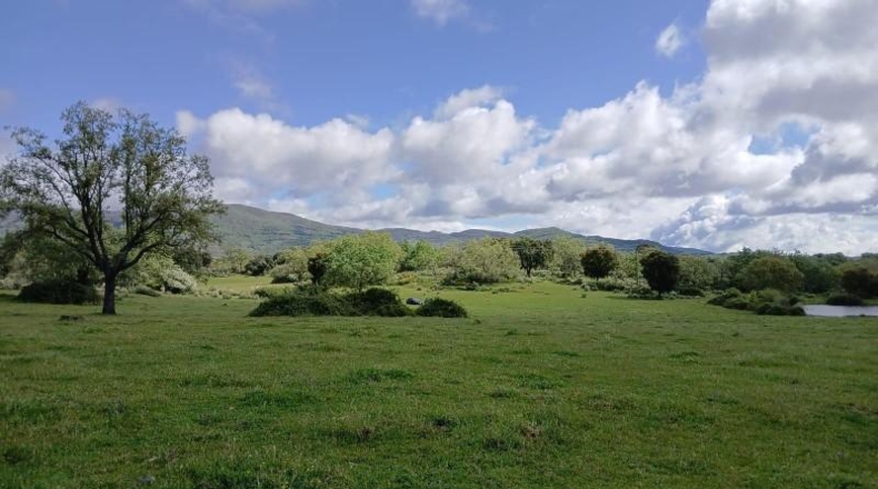 Cáceres - Tejeda de Tiétar - 263000m2