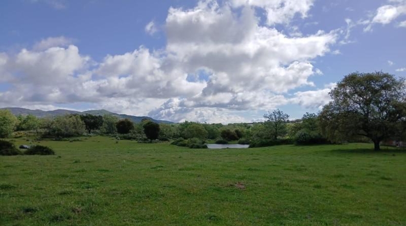 Cáceres - Tejeda de Tiétar - 263000m2