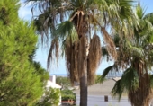 Chalet independiente con terreno en venta en la España, Borriol, ref: TR339292 foto