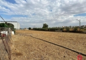 Casa de camp amb terreny en venda a la España, Alcolea, ref.: TR342843 foto