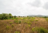 Terreno no urbanizable en venta en la España, Capdepera, ref: TR346006 foto