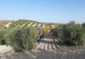 Finca rústica en venta en la España, Yebra de Basa, ref: TR375803 foto