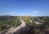 Finca rústica en venta en la España, Yebra de Basa, ref: TR375803 foto