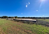 Terreno no urbanizable en venta en la España, Campos, ref: TR368458 foto