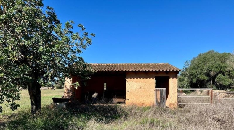 Illes Balears - Campos - 17810m2