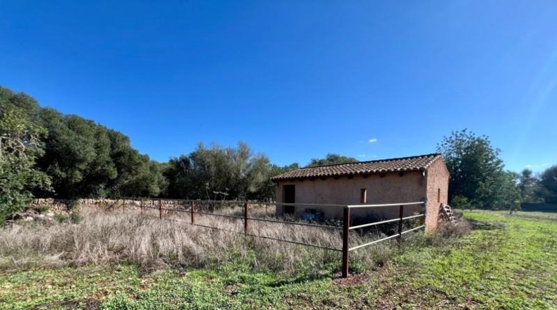 Illes Balears - Campos - 17810m2