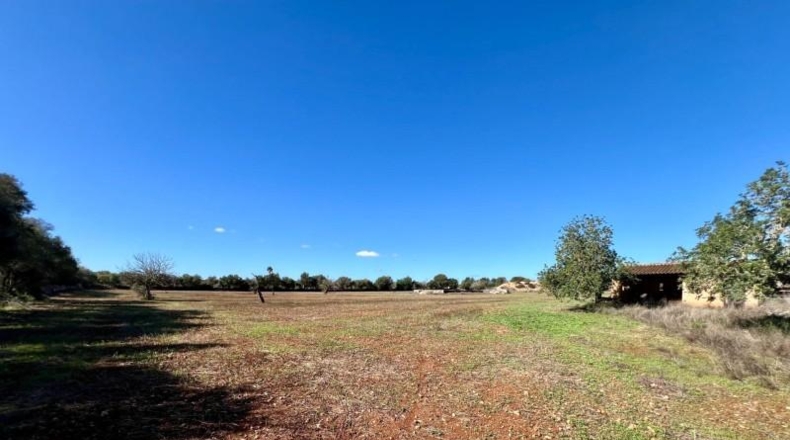 Illes Balears - Campos - 17810m2
