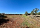 Terreno no urbanizable en venta en la España, Campos, ref: TR368458 foto