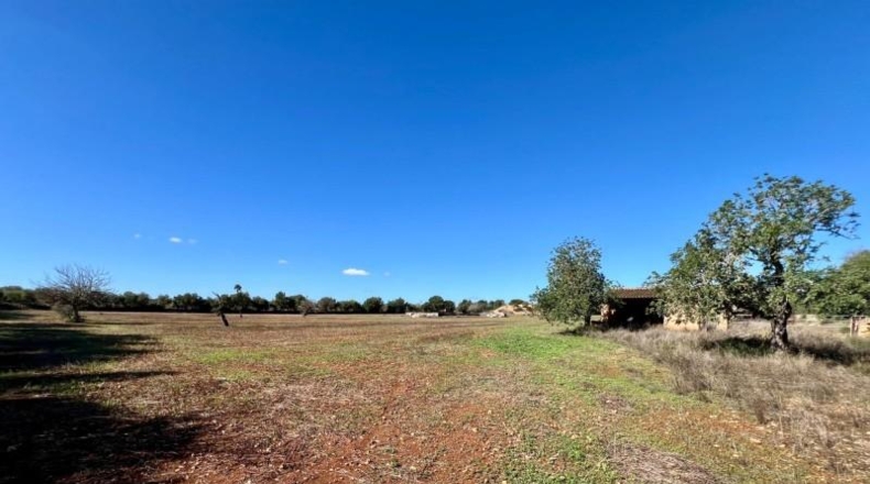 Illes Balears - Campos - 17810m2