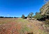 Terreno no urbanizable en venta en la España, Campos, ref: TR368458 foto