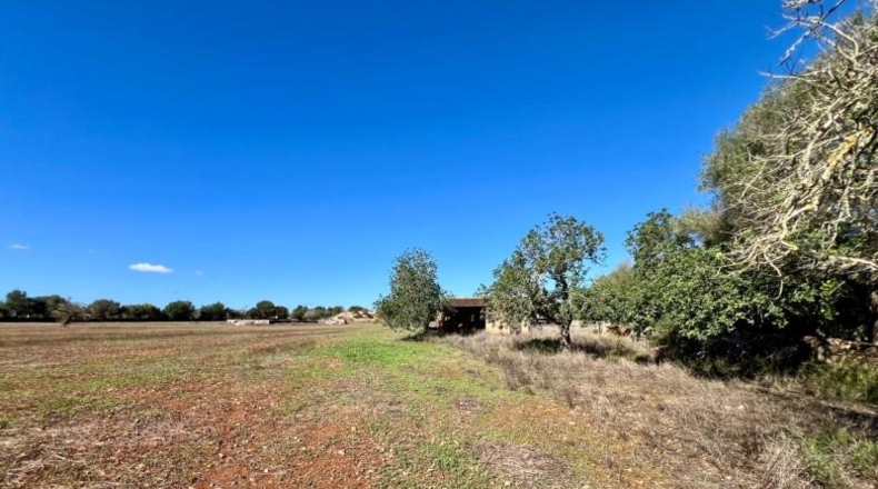 Illes Balears - Campos - 17810m2