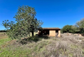 Campos 17810&nbsp;m²