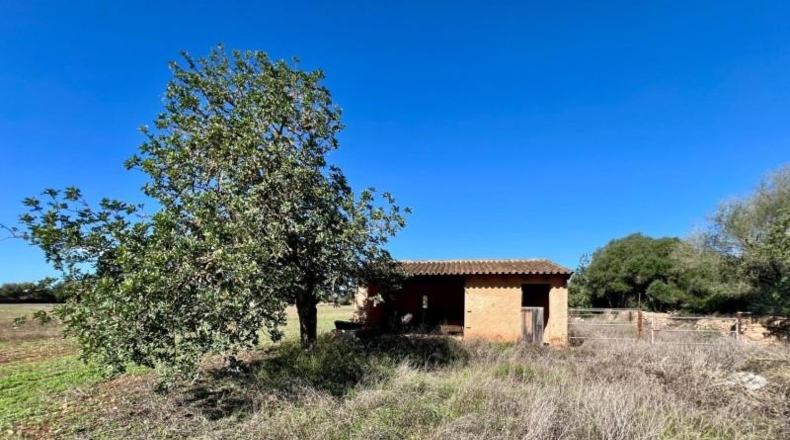 Illes Balears - Campos - 17810m2