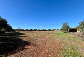 Campos 17810&nbsp;m²